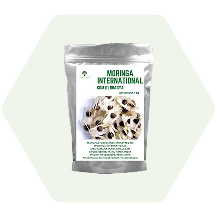 Moringa Seeds KDM 01 Bhagya